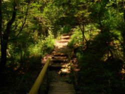 2013-07-20_Regina-F-Rau_Kochel-Rabenkopf (212).JPG